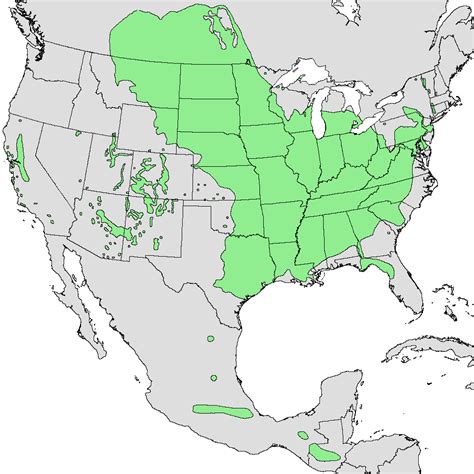 box elder distribution|box elder wood chart.